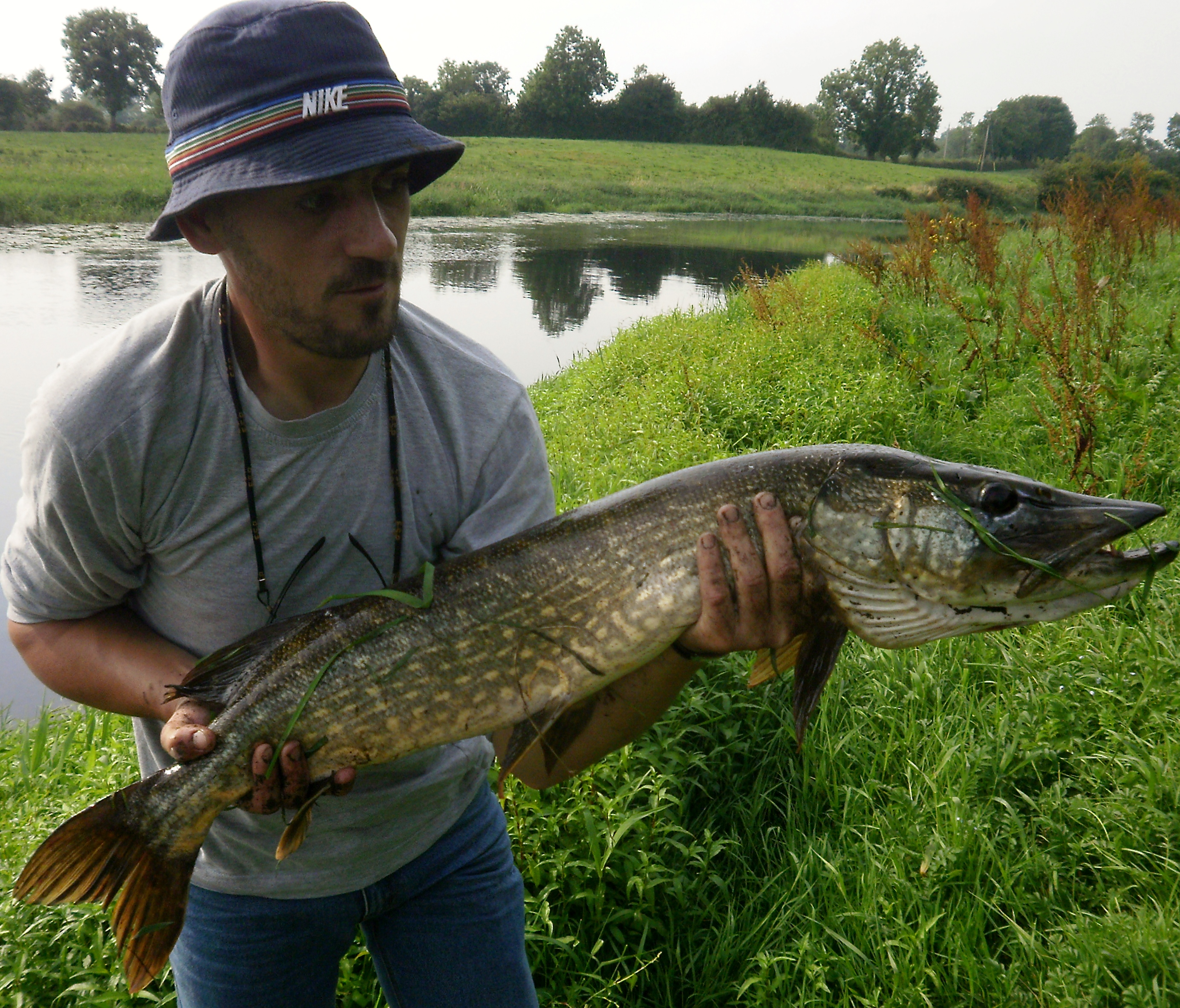 ''La maison des lacs'': brochet pris au leurre de surface au-dessus des herbiers. Un régal ! 1m02, 21 livres.