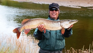 ''La maison des lacs'' brochet d'irlande 1m02 22 livres pris a la mouche .