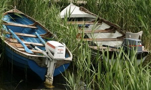 "La maison des lacs" 5 barques de 19 pieds avec moteur essence de 5 a 8 cv a votre disposition.
